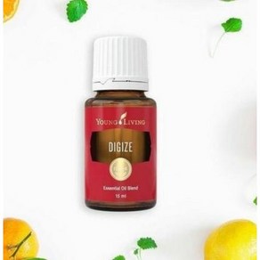 영리빙 다이자이즈 에센셜오일 15ml Young Living Pepemint Essential Oil 15ml, 1개