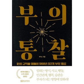 부의 통찰:돈의 규칙을 꿰뚫어 찾아낸 5단계 부의 열쇠, 황금부엉이, 부아c