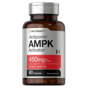 호바흐 AMPK 대사 활성제 450mg 60캡슐, 1개, 60정