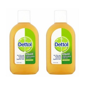 데톨 항균 살균 소독액 Dettol Antiseptic Disinfectant Liquid, 2개, 250ml