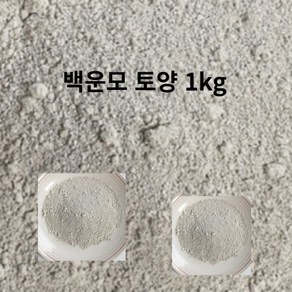 흙 일라이트 배양토 친환경 원예용품 영양제 파우다1kg 화분 토양 분갈이 백운모 원석 돌 가루 분말 파는곳