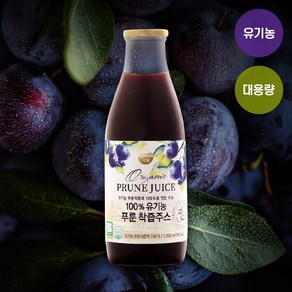 플랜마이 푸룬주스 푸룬원액 유기농 1000ml, 한병추가(1+1), 2개, 1L