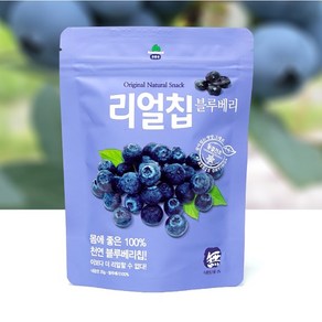 동결건조 블루베리 리얼칩20g 산마을