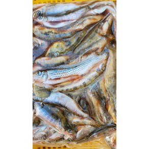 동부민물수산 국내산 신선한 수산물 민물생선 잡고기 냉동 2kg, 2팩