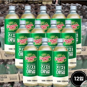 캐나다드라이 진저에일 탄산음료 450ml(12입), 36개, 450ml