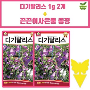 다농 디기탈리스 씨앗 1g 디기탈리스 꽃씨 종자 2개+끈끈이 1P 증정, 1세트