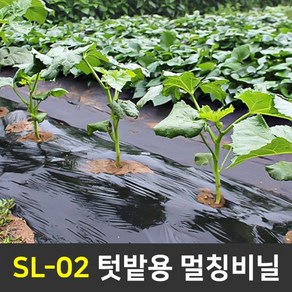 세원비닐 텃밭용 멀칭비닐 10m 20m 소량판매 마늘 양파 고추비닐, 흑색, SL-02) 100x20, 1개