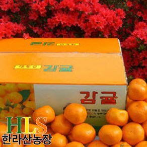 한라산농장 노지 감귤 15KG 중대과(L~2L) 홍보용 -불만족 시 무료반품-