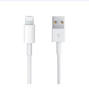 Apple 정품 Lightning-USB 충전 케이블, Lightning, USB, 1m
