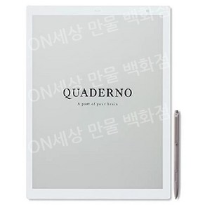 후지쯔 13.3인치 플렉시블 전자종이 QUADERNO Gen.2 A4사이즈 FMVDP41, A4