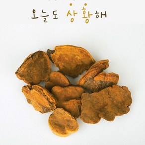 류충현 상황버섯 진액 농축 추출액 스틱 20mlx30포 액상 차 부모님 건강 즙 선물, 1개