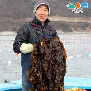 완도맘 생 곰피미역 쇠미역 당일조업하여 싱싱하게 발송, 1개, 2kg