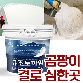 규조토월드 규조토하임 미장용 몰탈타입 10Kg 곰팡이 결로 심한 곳 강력추천 단열 결로 벽지 곰팡이방지 베란다 천연 친환경 셀프, 01.기본:화이트, 1개