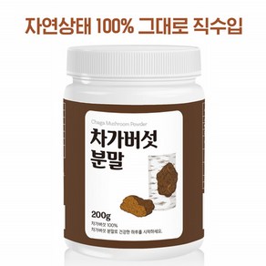 왕복반품비 시베리아 차가버섯 베타글루칸 러시아 자작나무 차가버섯 분말 200g, 1개