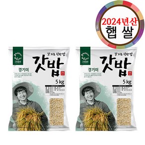 그린올린 2024년산 갓밥 경기미 7분도미 5kg x 2봉, 1개, 10kg