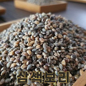 밥보야 24년산 국산 삼색보리 1kg 삼색보리쌀