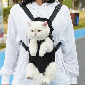 애니파니 강아지 포대기, 블랙, 1개