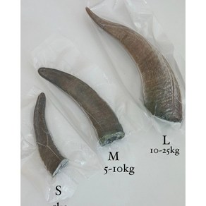 댕댕점빵 자연방목 흑염소뿔 천연수제껌 오래먹는간식 수제간식, 1개, 80g, s