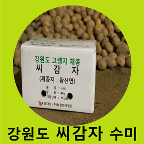 씨감자 정품 수미 4kg / 10kg / 20 kg 보급형 /수미감자/수미씨감자/ 강원도감자/보급종, 20kg, 1개