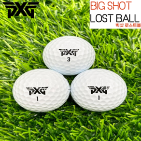 GOOD 로스트볼 PXG 프리미엄 로스트볼 등급별 10구 세트+골프티 증정!, 1개, 10개입, PXG 화이트 A-