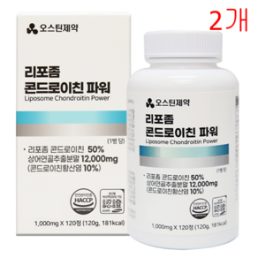 오스틴제약 리포좀 콘드로이친 파워 1 000mg 120정, 2개