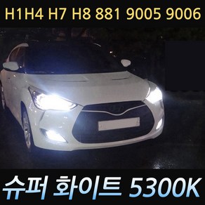 아반떼 XD HD MD AD 5300K 화이트 전조등 안개등 할로겐램프 백색 헤드라이트 2P세트, 881(2p_1세트), 2개