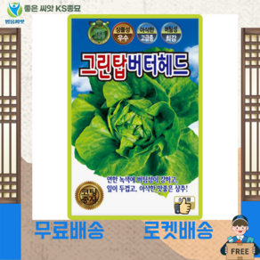 그린탑버터헤드상추/팰랫(100립)버터헤드 유러피안상추 종묘 종자 영웅 KS 햄버거용 믹스샐러드용, 1개