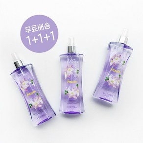 [1+1+1] 바디판타지 시그니처 프리지아, 3개, 236ml