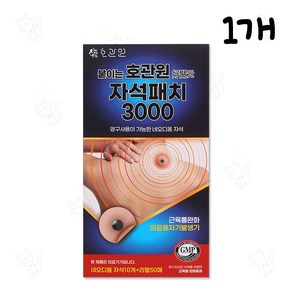 붙이는 호관원 자석패치 (자석 10개+리필패치 ), 1개, 60매입
