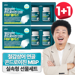 철갑상어 연골 콘드로이친 1200 MBP c6s 저분자 식약청 HACCP 알레, 2개, 180정