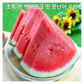 [안사면손해!] 백화점급맛 초특가 고당도 못난이수박, 1박스, 3kg 내외
