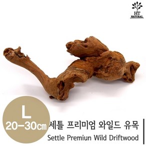 세틀 프리미엄 와일드 유목 L (20~30cm), 1개