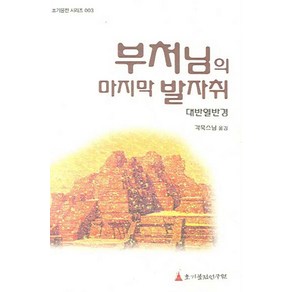 부처님의 마지막 발자취, 초기불전연구원