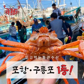 [구룡포 통큰수산] 자숙 연지홍게 3kg (9~10미) 다리수율 80%이상 수율보장 통큰 당일발송 또는 순차배송 포항 홍게 가성비 산지직송 선주직송, 1개