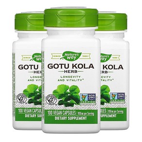 네이처스웨이 고투콜라 Gotu Kola 950mg 100 베지 캡슐 3팩, 3개