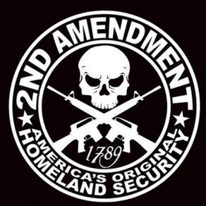 2ND AMENDMENT 해골 스티커 자동차 튜닝 주유구 데칼스티커, 반사화이트, 1개