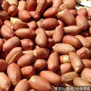 이슬처럼 중국산 볶은땅콩 500g, 1개