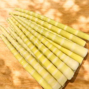 [정성식품] 프리미엄 죽순 데친 죽순 아삭아삭한 죽순, 1개, 1kg