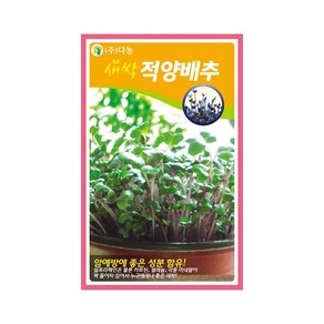 (DN) 새싹 적양배추 씨앗(12g), 1개