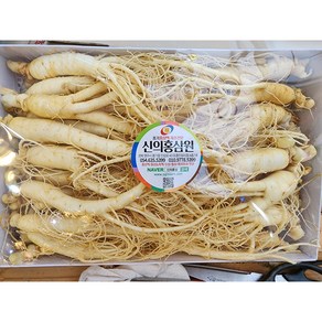 풍기인삼 6년근 못난이세척삼 750g 삼계탕용 쥬스용, 세척, 박스포장만, 1개