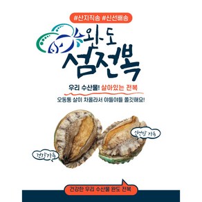 완도특대 전복 1KG 5-6마리 / 6-7마리 특대형 프리미엄 전복