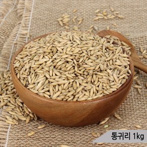 건강알곡 통귀리 1Kg 앵무새 햄스터 소동물 영양간식