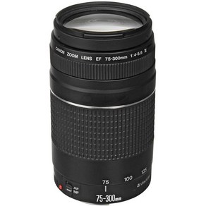 캐논 EF 75 300mm f/4 5.6 III Canon SLR 카메라용 망원 줌 렌즈 6473A003 갱신, 1개