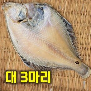 최상급 반건조 참가자미 가재미 손질가자미 반건조생선 맛고을장터 flatfish Plaice halibut, 3개, 대(33-38cm)