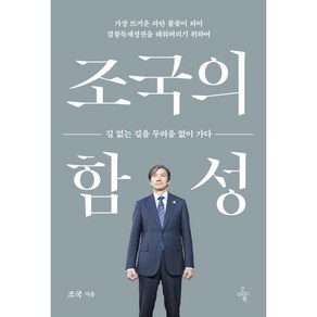 [오마이북]조국의 함성 : 길 없는 길을 두려움 없이 가다, 오마이북, 조국