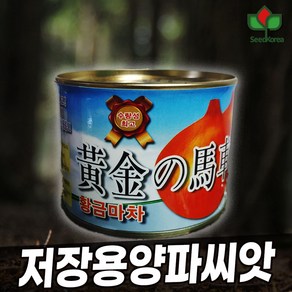 양파씨앗 장기 저장용 양파 병에강한 다수확 품종 황금마차 100g, 1개