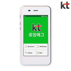 태국 포켓와이파이 무제한 KT로밍에그 공항수령반납, 김해국제공항, 1개