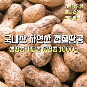 [산지직송] 국내산 자연산 햇땅콩 피땅콩 흙땅콩 껍질땅콩 1000g 1박스