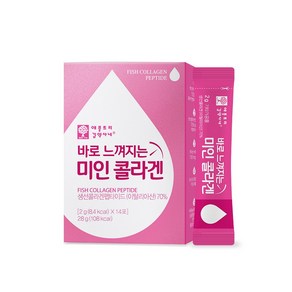 애플트리김약사네 바로 느껴지는 미인 콜라겐 1박스, 2g, 14개