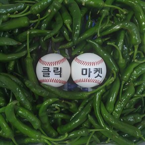 클릭마켓 국내산 매운 고추 청양고추 땡초 1kg 2kg 5kg